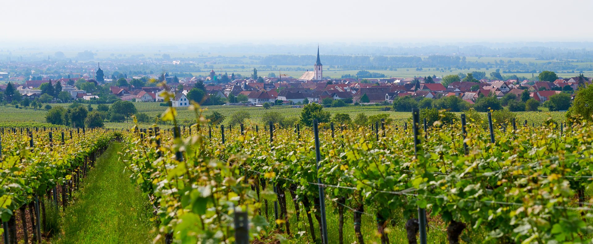 terroir_slide1
